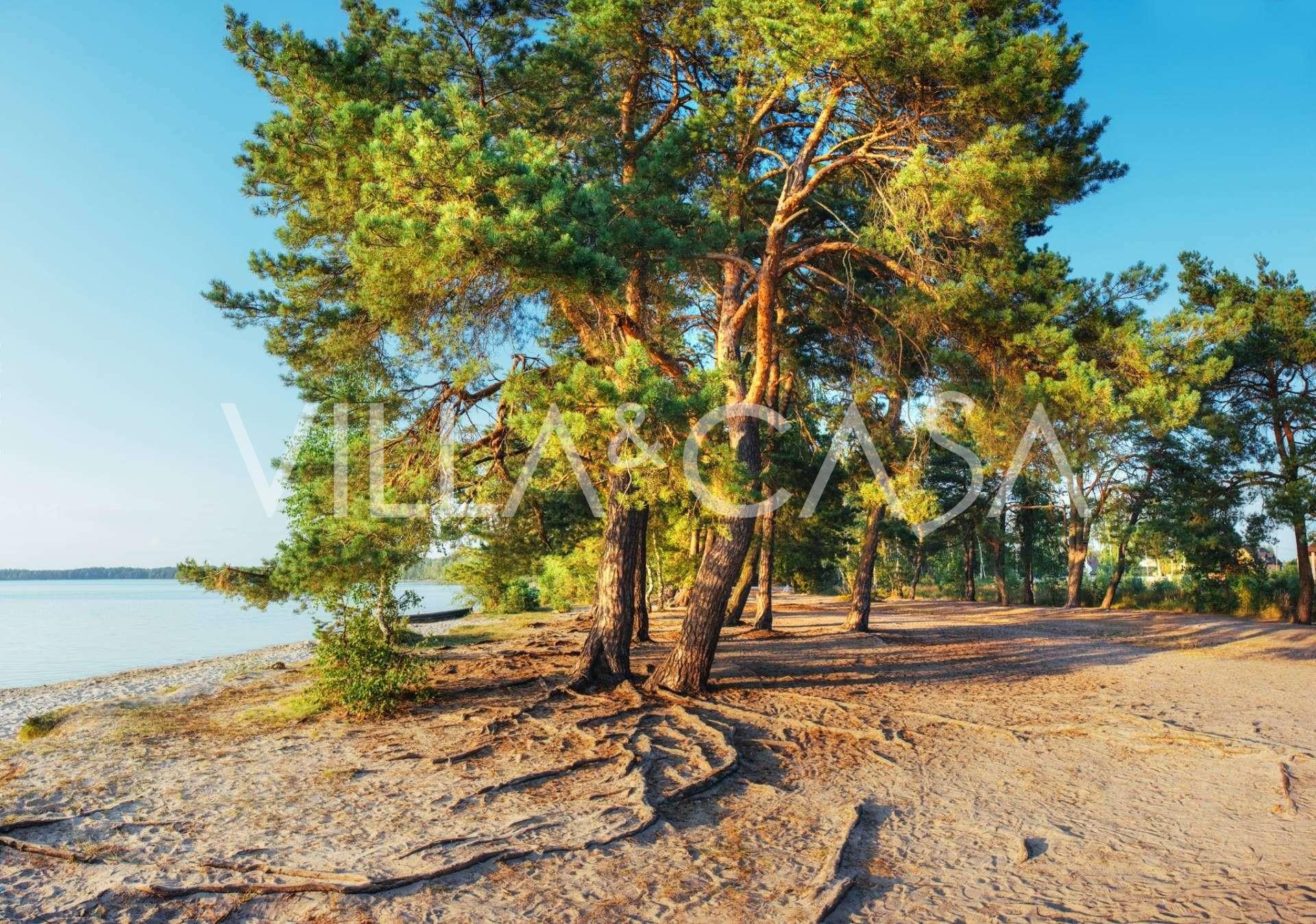 Leirintäalue meren äärellä Toscanassa myynnissä